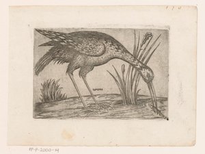 Uccello (serie Uccelli) da Jacques de Fornazeris (possibly)