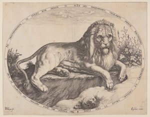 Den Grooten Leeuw (Il grande leone). da Jacques de Gheyn II