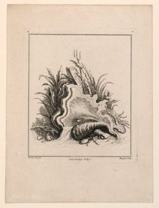 Stemma, da "Recueil Nouveau de Differens Cartouche" da Jacques de Lajoüe