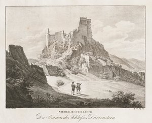 Bassa Austria, le rovine del castello
