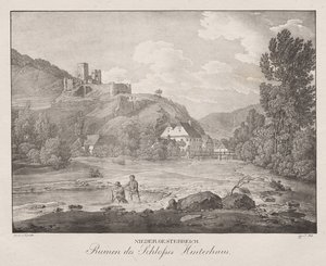 Bassa Austria, rovine del castello Hinterhaus