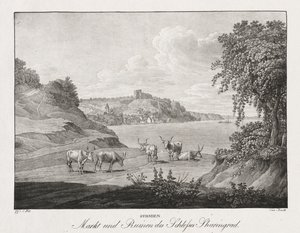 Sirmia, Mercato e Rovine del Castello di Sharengrad da Jakob Alt
