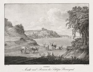 Syrmien, mercato e rovine del castello di Sharengrad da Jakob Alt