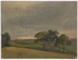 Prato serale con alberi da Jakob Becker