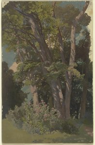 Studio di parco, radura da Jakob Becker