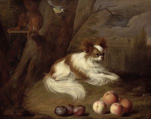 Immagine sconosciuta da Jakob Bogdani or Bogdany