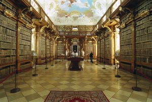 Vista della biblioteca dell