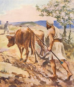 Terra Santa: aratura vicino a Nazareth da James (after) Clark