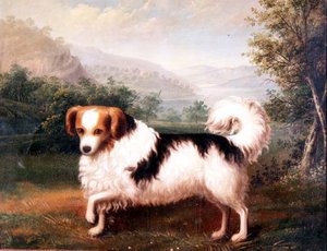 Una farfalla Phallene in un paesaggio delle Highlands da James (attr. to) Barenger