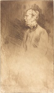 Lord Wolseley, c. 1877
