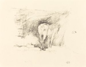 Studio di un cavallo, 1895 da James Abbott McNeill Whistler