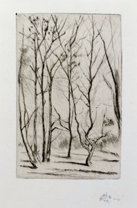 Il bosco della diga da James Abbott McNeill Whistler