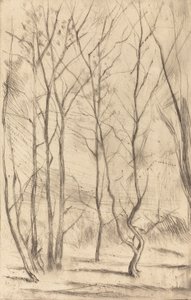 Il Bosco della Diga da James Abbott McNeill Whistler