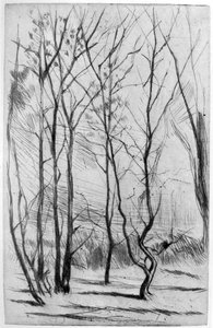 Il Bosco della Diga, c1875 1904
