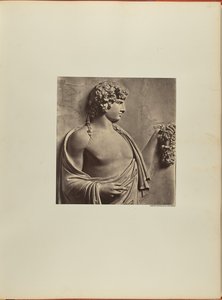 Antinoo, bassorilievo della città di Albani da James Anderson