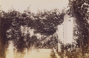 Giardino - Capri da James Anderson