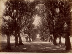 Villa Borghese da James Anderson
