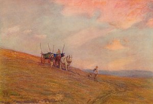Sulle colline vicino a Harting, c1870-1906, 1906 da James Aumonier
