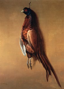 Fagiano appeso, 1822
