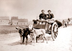 Cani che tirano donne su un carro, Anversa, 1898