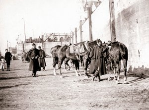 Cavalieri, Anversa