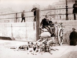 Uomo con carretto per cani, Anversa, 1898 da James Batkin