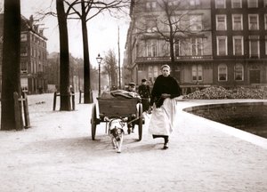 Donna con carretto per cani, Rotterdam, 1898