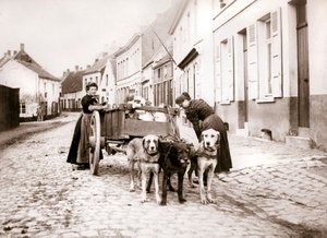Donne e carrozza per cani, Anversa, 1898 da James Batkin