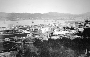 Lambton Harbour e Queens Wharf, Wellington, Nuova Zelanda, 1870 da James Bragge