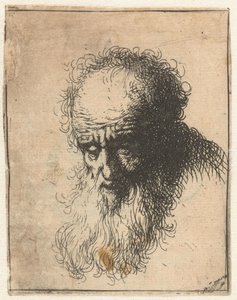 Busto di un vecchio con barba fluente: la testa china in avanti: spalla sinistra non ombreggiata da James Bretherton