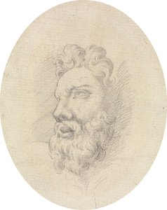 Testa di un uomo barbuto