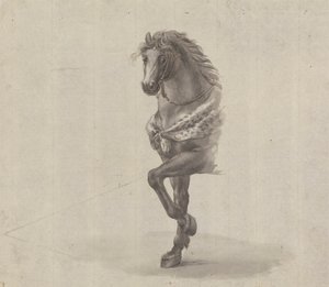 Studio del fronte di un cavallo da James Bruce