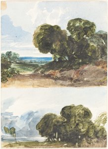 Due schizzi di alberi da James Bulwer