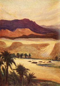 Un campo palestinese a Elim - Ebr. xiii. 11