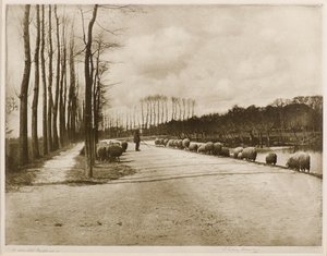 Un Pastorale di Utrecht