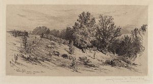 Un Campo Incolto da James David Smillie