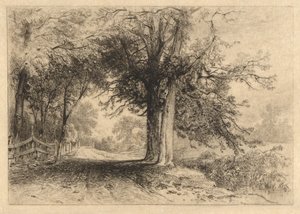 Una corsia di fattoria, gennaio 1887, Opus 2 da James David Smillie