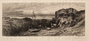 A Marblehead Neck