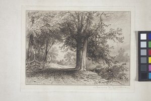 Paesaggio da James David Smillie