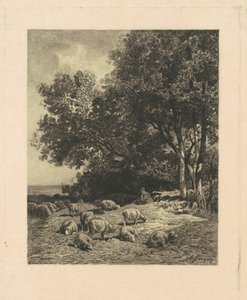 Paesaggio con pecore da James David Smillie, after Charles Émile Jacque