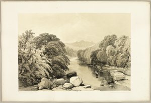 Frassino, sicomoro e quercia, da Il parco e la foresta da James Duffield Harding