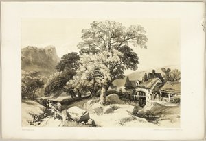 Frassino e Quercia, da Il Parco e la Foresta da James Duffield Harding