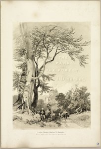 Faggio e Quercia (Frontespizio), da Il Parco e la Foresta