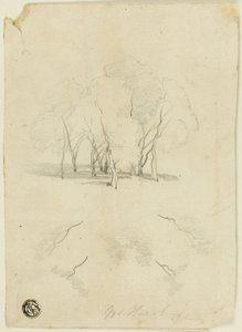 Gruppo di Alberi
