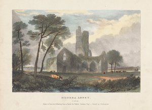 Abbazia di Kilcrea da James Duffield Harding