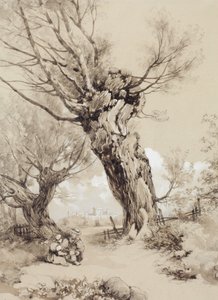  da James Duffield Harding