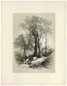 Ponte di Shipley, Devon, da Selezioni pittoresche da James Duffield Harding