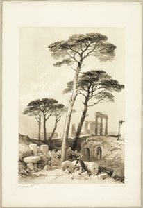Pini di Pietra, da Il Parco e la Foresta da James Duffield Harding