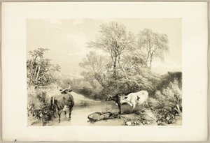 Spina, salice, faggio e betulla, da Il parco e la foresta da James Duffield Harding