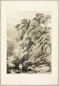 Olmo e Abeti, da Il Parco e la Foresta da James Duffield Harding